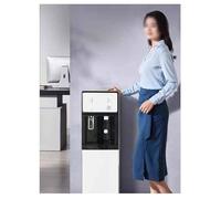 Refrigeratore D'acqua Alimentato Dalla Rete Idrica, Distributore Acqua fredda a Colonnina, Fontana d'acqua per Casa, Ufficio, caffè, Bar, Dormitorio