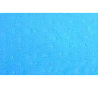 ReG Film preforato per sottovuoto 5 mt