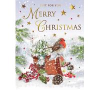 Regal Publishing Biglietto di Natale aperto Just for you con pettirosso - 20,3 x 15,2 cm