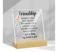 Regali dell'amicizia per donne, uomini, amici, regali per bestie, regali di compleanno di Natale per amici, sorelle, migliori amici, decorazioni dell'amicizia, segno acrilico