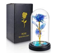 Regali di coppia personalizzati per donne, festa della mamma, regali per mamma, moglie, da bambini, figlia, figlio, marito, rosa arcobaleno blu illuminata in cupola acrilica regali per mamma, moglie