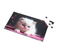 Regali di Pasqua per i più piccoli, adorabile gattino bianco con occhi azzurri, puzzle puzzle da 500 pezzi (1000 pezzi)