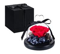 Regali di qualit Norcalway per la mamma da parte di figlia figlio bambini - Rosa rossa conservata per sempre in una cupola di vetro, regalo di f
