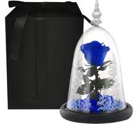 Regali di Rose Eterne per Le Donne Rose Conservate in Vetro per Sempre Fiori di Rosa Eterna Regalo di Nozze per Mamma Fidanzata, Darkbluerosebox