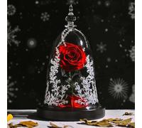 Regali di Rose Eterne per Le Donne Rose Conservate in Vetro per Sempre Fiori di Rosa Eterna Regalo di Nozze per Mamma Fidanzata, Redrealrose