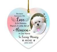 Regali di simpatia ornamento per la perdita del cane, immagine/nome personalizzato perché qualcuno che amiamo è in paradiso ornamento albero di Natale, ornamenti commemorativi per animali domestici