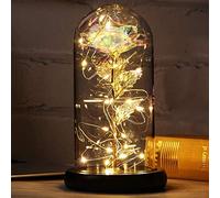 Regali Natale Donna Rosa Eterna Regalo Donna Compleanno Rose Bella e la Bestia Rose Incantate con Luci LED in Cupola Vetro Regalo Mamma Amica Nonna Fidanzata Sorella Suocera Anniversario Matrimonio