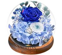 Regali Natale - Rosa Blu Stabilizzata Vera Regalo Donna, Avanzate Regalo, Eterna Fiore con Luci LED, Idea Perfetta per Compleanno, Anniversario, Festa della Mamma, Dedica a Mamma, Nonna e Fidanzata
