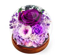 Regali Natale - Rosa Viola Stabilizzata Vera Regalo Donna, Avanzate Regalo, Eterna Fiore con Luci LED, Idea Perfetta per Compleanno, Anniversario, Festa della Mamma, Dedica a Mamma, Nonna e Fidanzata