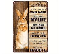Regali per gli amanti dei conigli, I Am Your Rabbit, Insegne in metallo con coniglietto pasquale, regali di Pasqua per familiari e amici, cartelli in latta con coniglio, decorazione da parete per