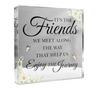 Regali per il migliore amico, compleanno, amicizia regali per le donne Bestie BFF amico per compleanno, matrimonio, Natale, lunga distanza nuovo amico apprezzamento acrilico decorazione placca