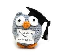 Regalo di laurea, bambola gufo a maglia, esame portafortuna, gufo tascabile, regalo di esame passato, credo in te, puoi farlo, gufo positivo tedesco