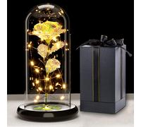Regalo Di San Valentino per Lei, Fiori Di Rosa Con Luce a LED, Fiore Artificiale