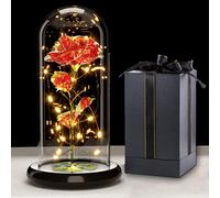 Regalo Di San Valentino per Lei, Fiori Di Rosa Con Luce a LED, Fiore Artificiale