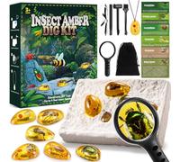 Regalo Geebiiny Esperimenti Scientifici Bambini 5-11 Anni, Kit Esploratore Insetti Fossil d'Ambra, Giocattoli 6-12 Anni - Regalo di Pasqua