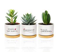 Regalo Maestre Fine Anno, 3 Ceramica Vaso Vasi Piante Grasse Regalo Grazie Maestre Maestra Insegnante Professoressa Compleanno Natale Regalini Pasqua Originali per Piante Da Interno Esterno Decorativo