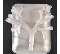 Regalo medico, modello di anatomia dell'albero bronchiale in resina, modello di allenamento per broncoscopia, set in fibra bronchiale, per insegnamento medico, apprendimento infermieristico scolastico