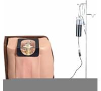 Regalo medico, modello di formazione clinica for anestesia spinale ed epidurale, modello di formazione for puntura della colonna vertebrale, simulatore di puntura lombare for adulti