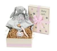 Regalo Neonato Maschio Femmina con Succhietto | Doudou e Clip in Silicone | Cestino Ideale per i Primi Giorni | Cesta Personalizzata (Rosa) | BebeDeParis