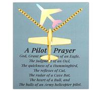 Regalo per Aviazione della Collana per Aereo Gift Pilota Gift per Assistenza per Gli Amanti dell'aeroplano Aereo Gioielli Air Force Gift, S, in Acciaio Inossidabile, Nessuna Gemma