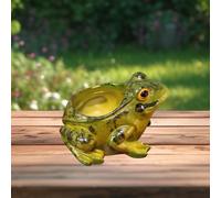 Regalo per la casa per la casa di fioriera da rana in resina per l'ingresso