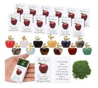 Regalo ricordo per insegnanti, set di scatole decorative a forma di frutta, dolce regalo per il riconoscimento in classe, scatola dei ricordi per laurea, regalo di ringraziamento per studenti e