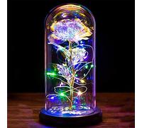 Regalo San Valentino per Lei Rosa Eterna Idee Regalo Donna Compleanno Rose Bella e la Bestia Regali San Valentino Rose Incantate con Luci LED in Cupola Vetro Regalo Mamma Amica Fidanzata Ragazza Nonna