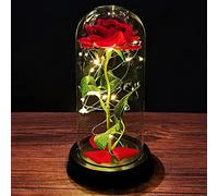Regalo San Valentino per Lei Rose Bella e la Bestia Regalo Donna Compleanno Rosa Eterna Regali San Valentino Rose Incantate con Luci LED Cupola Vetro Regalo Mamma Amica Fidanzata Ragazza Nonna Sorella