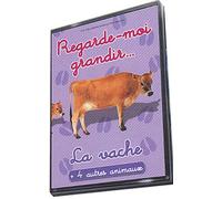 Regarde-moi grandir : la vache