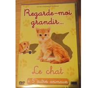 Regarde-moi grandir… le chat