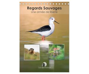 Regards sauvages - Une année de liberté (Calendrier de bureau 2026 DIN A5 horizontal), CALVENDO calendrier mensuel: Un calendrier captivant qui ... des animaux sauvages dans toute leur liberté.