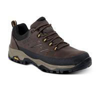 Regatta Blake Low Hiking Shoes EU 40