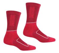 Regatta Samaris 2 Season Socks Rosso EU 36-38 Donna
