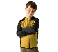 Regatta Giacca trapuntata ibrida Andreson Junior unisex per bambini, idrorepellente