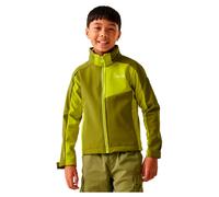 Regatta Acidity Viii Softshell Jacket Verde 3-4 Years Bambini