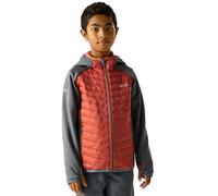 Regatta Andreson Jacket Arancione 3-4 Years Bambini