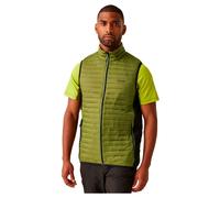 Regatta Anderson Hybrid Vest Verde M Uomo