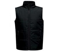 Regatta Gilet termico da uomo con accesso professionale, idrorepellente, isolante, perfetto per attività all'aperto, passeggiate, escursioni e campeggio