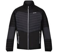 REGATTA Halton Vi - Uomo - Grigio / Nero - Taglia S- modello 2023