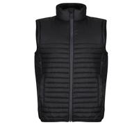 Regatta Honestly Made Gilet Imbottito Riciclato Uomo (PC4256)
