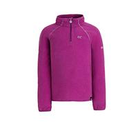 Regatta 'Loco' Half Zip Mini Stripe Fleece Pile Bambini e Ragazzi