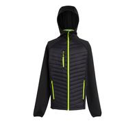 Regatta Navigate Giacca Ibrida Trapuntato Uomo (RG9341)