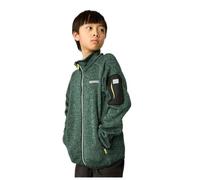 Regatta Newhill Full Zip Fleece Verde 12 Years Ragazzo