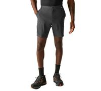 Regatta Anti-insect Travel Light Shorts Grigio 33 Uomo