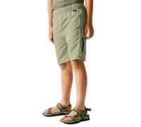 Regatta - Kid's Sorcer Shorts III - Pantaloncini 13 Years olivia