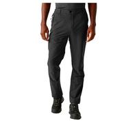 Regatta Highton Ii Pants Grigio 33 / Regular Uomo