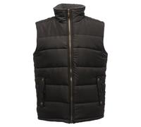 Regatta Professional Altoona Isolato Uomo Bodywarmer TRA806-Winter Bodywarmer