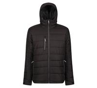 Regatta Professional Giacca Imbottita Uomo (RG9401)