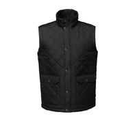 Regatta Professional Gilet Imbottito Trapuntato Uomo (RG3177)