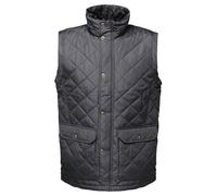 Regatta Professional Gilet Imbottito Trapuntato Uomo (RG3177)
